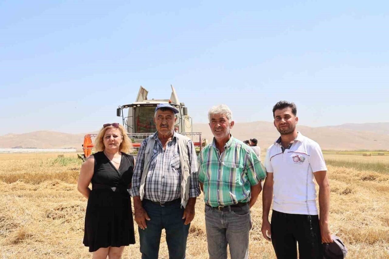 Korkuteli Yeşiloba Yaylası’nda hibe tohumların buğday hasadı başladı