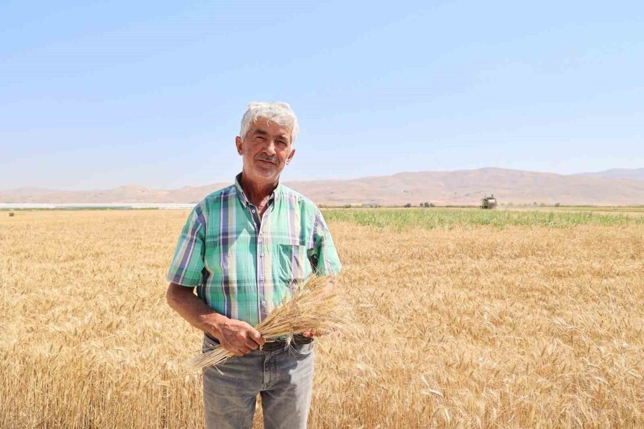 Korkuteli Yeşiloba Yaylası’nda hibe tohumların buğday hasadı başladı