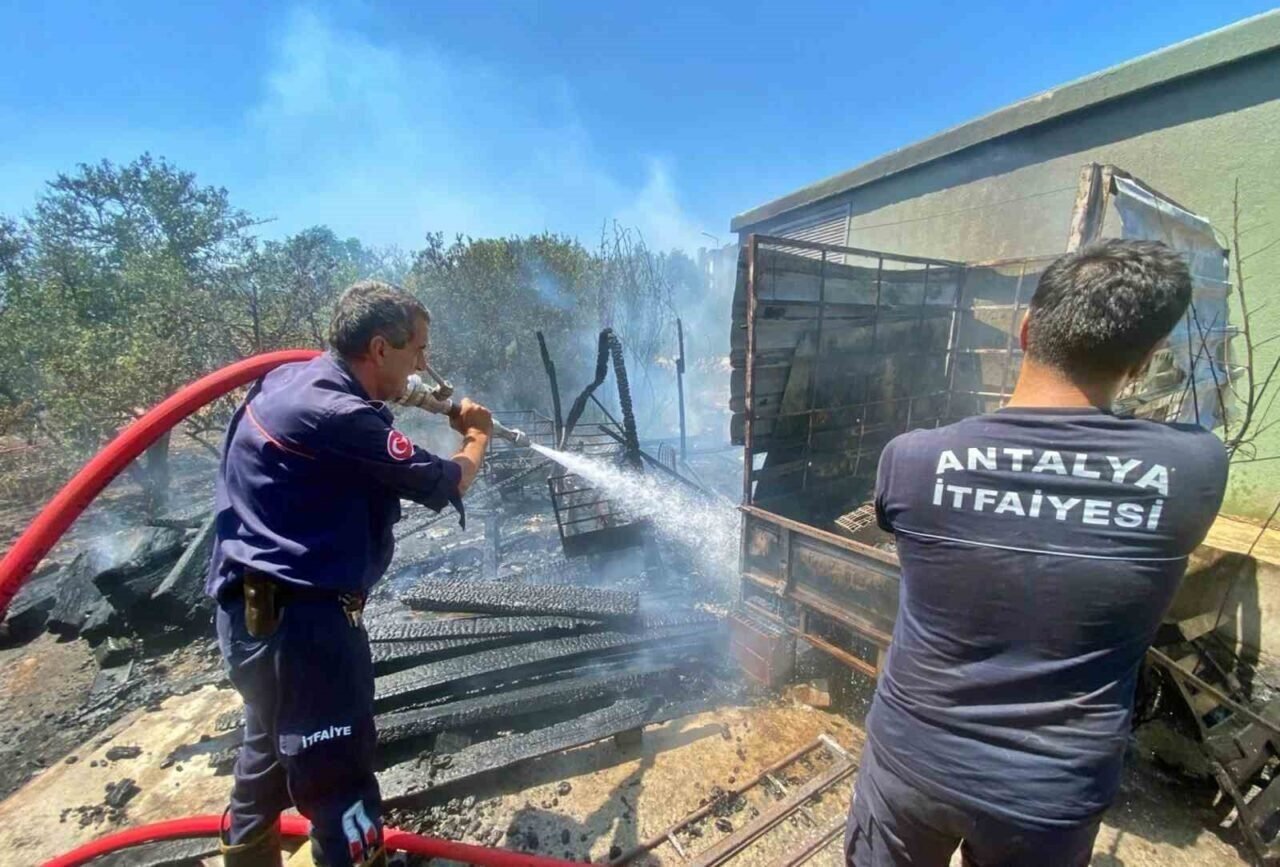 Lüks villalara yakın noktada çıkan yangın korkuttu