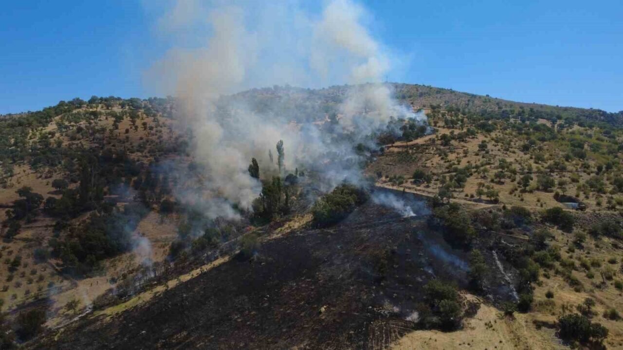 Manisa Demirci’deki orman yangını söndürüldü