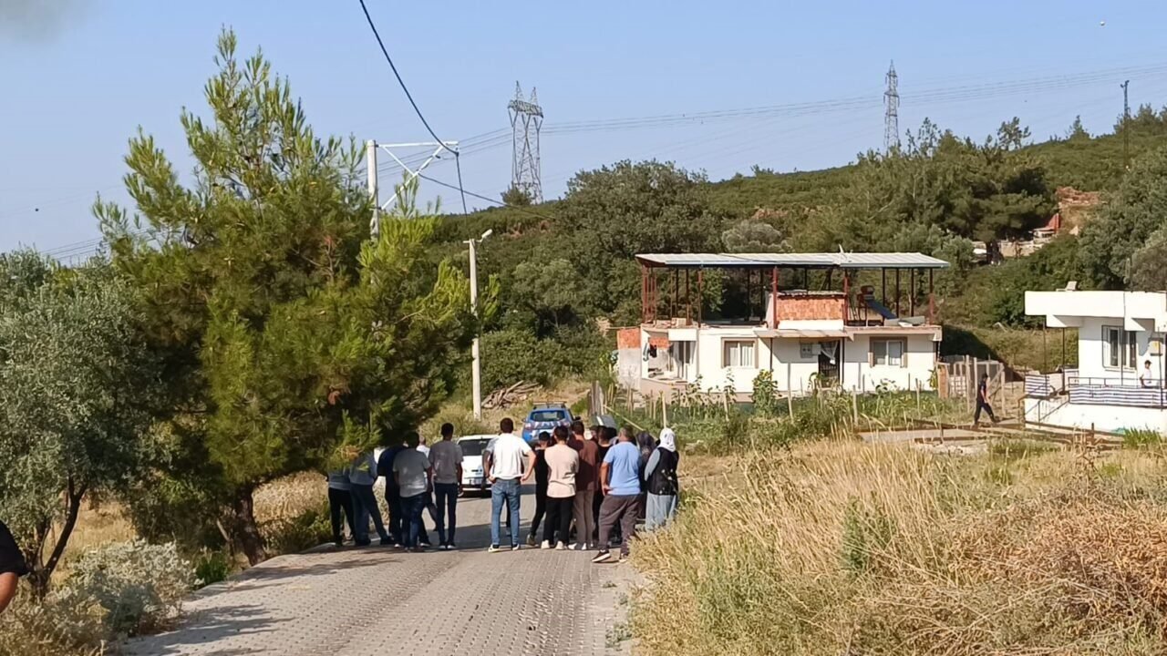 Manisa’da orman yangını