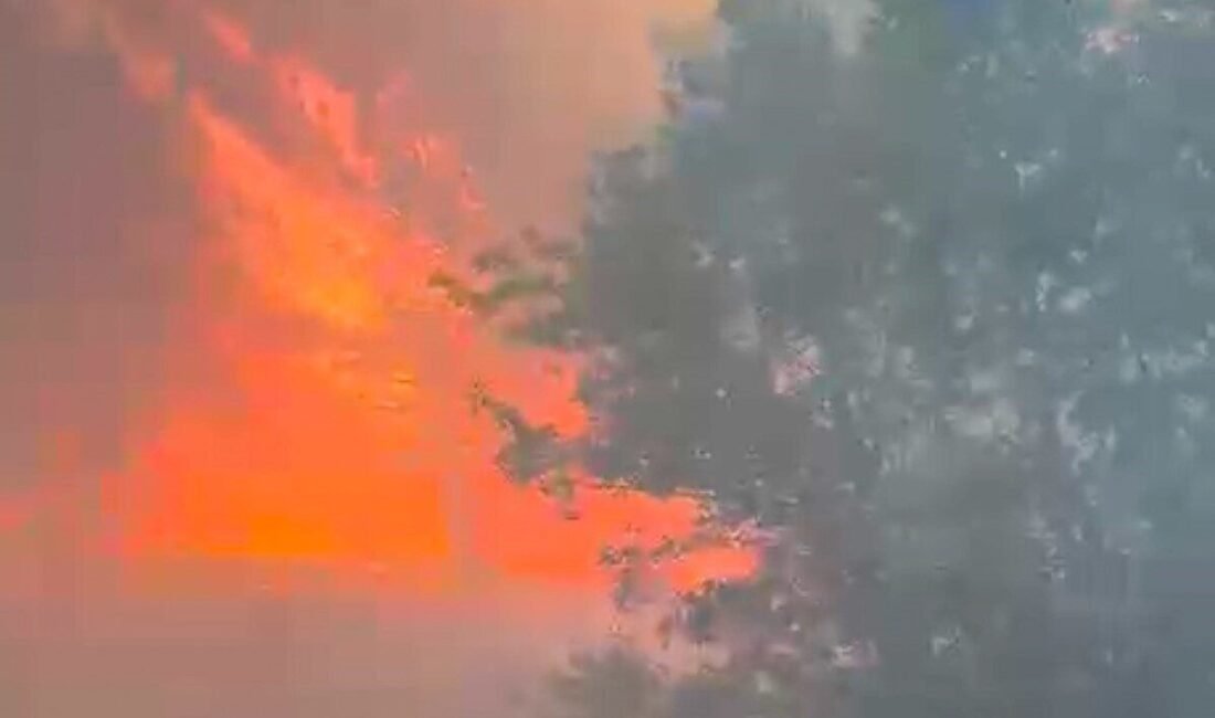 Manisa’nın Akhisar ilçesindeki ormanlık alanda başlayan yangına havadan ve karadan
