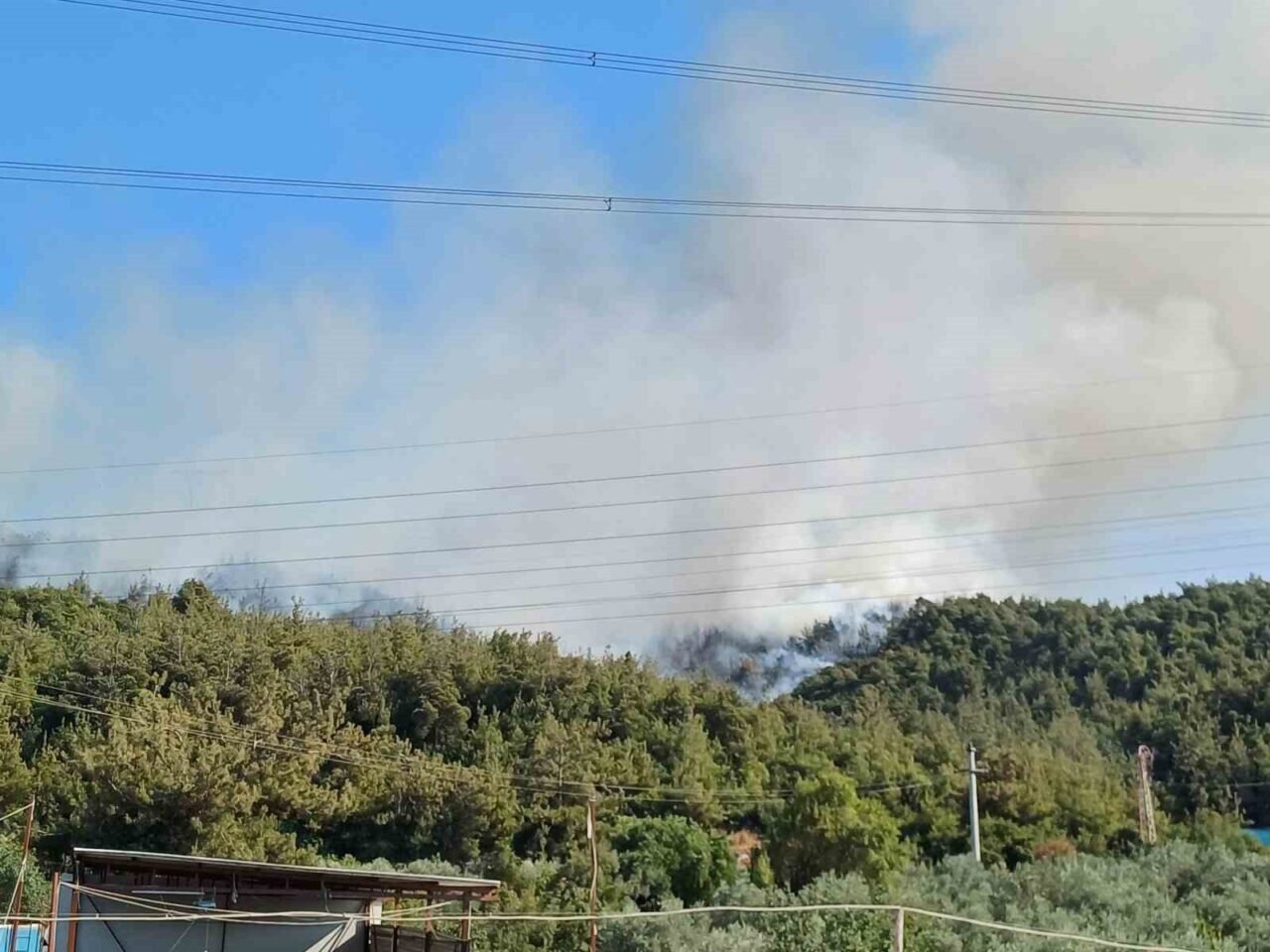 Manisa’da orman yangını Manisa’da orman yangını