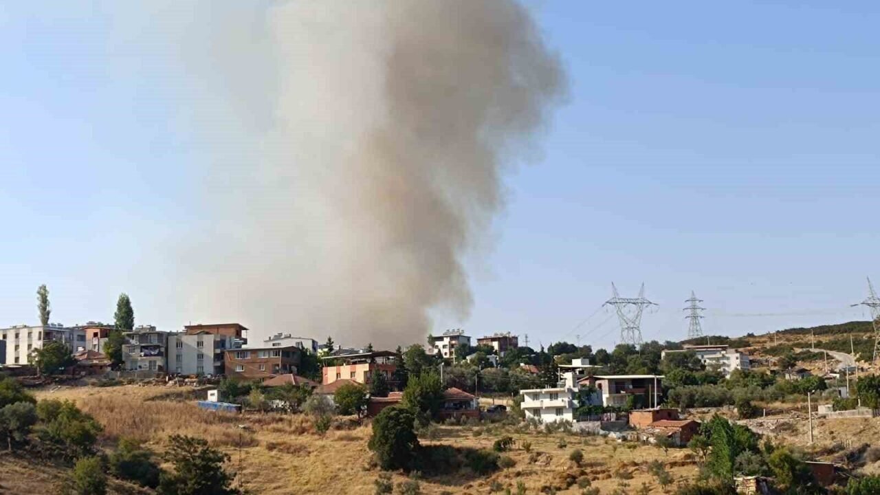 Manisa’da orman yangını