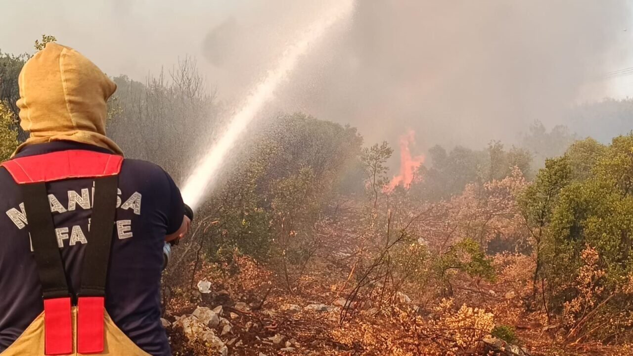 Manisa’da orman yangını