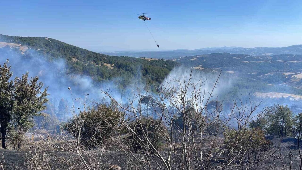 Manisa’daki orman yangını kontrol altına alındı