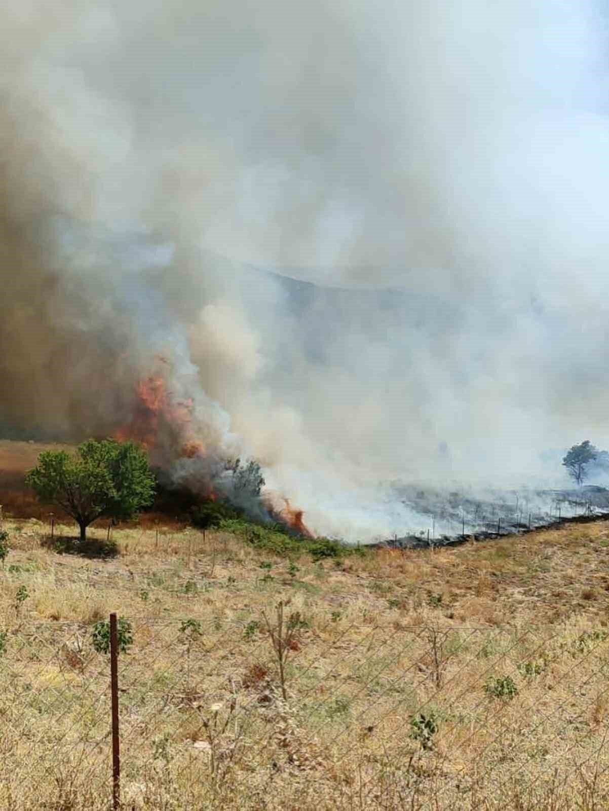 Manisa’daki orman yangını kontrol altına alındı