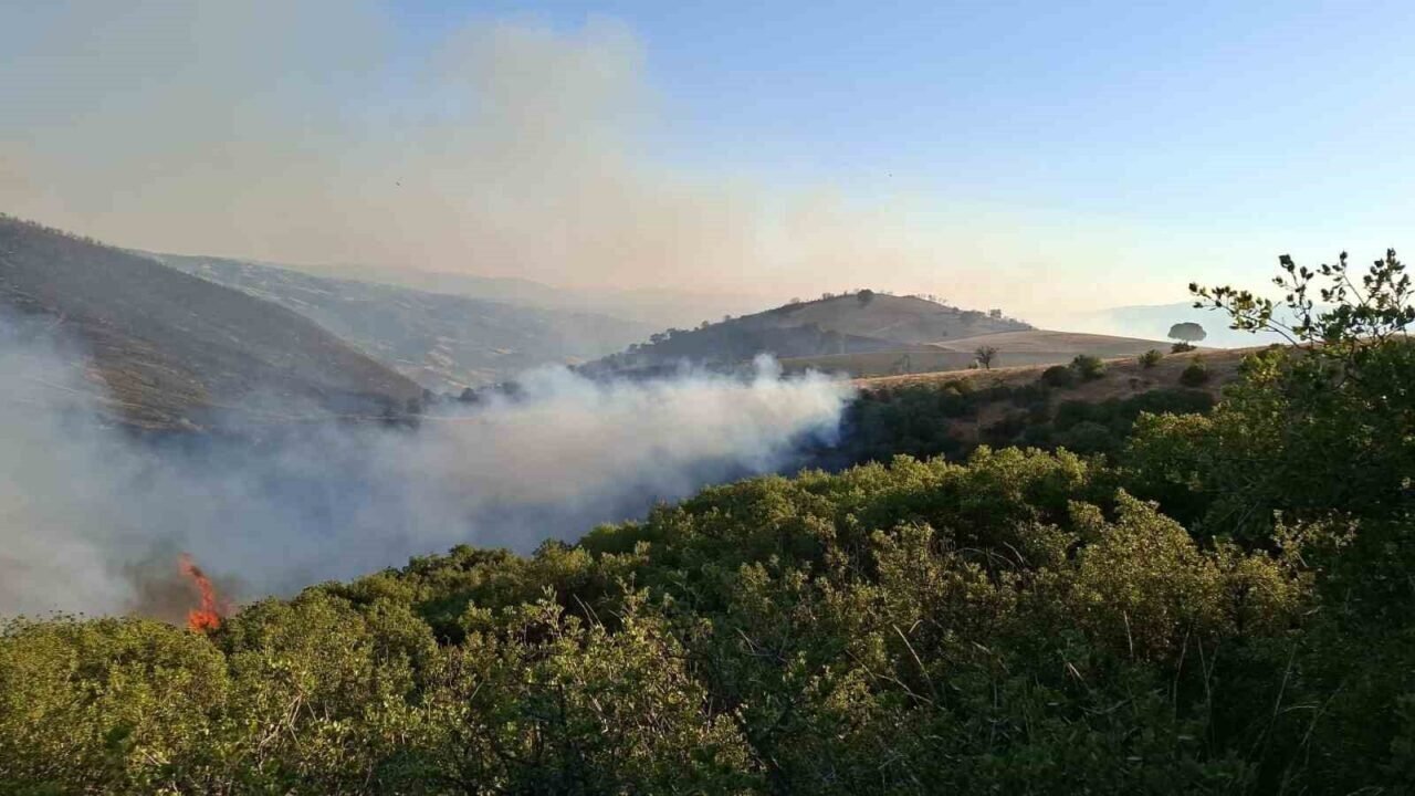 Manisa’daki yangın Uşak’a doğru ilerliyor