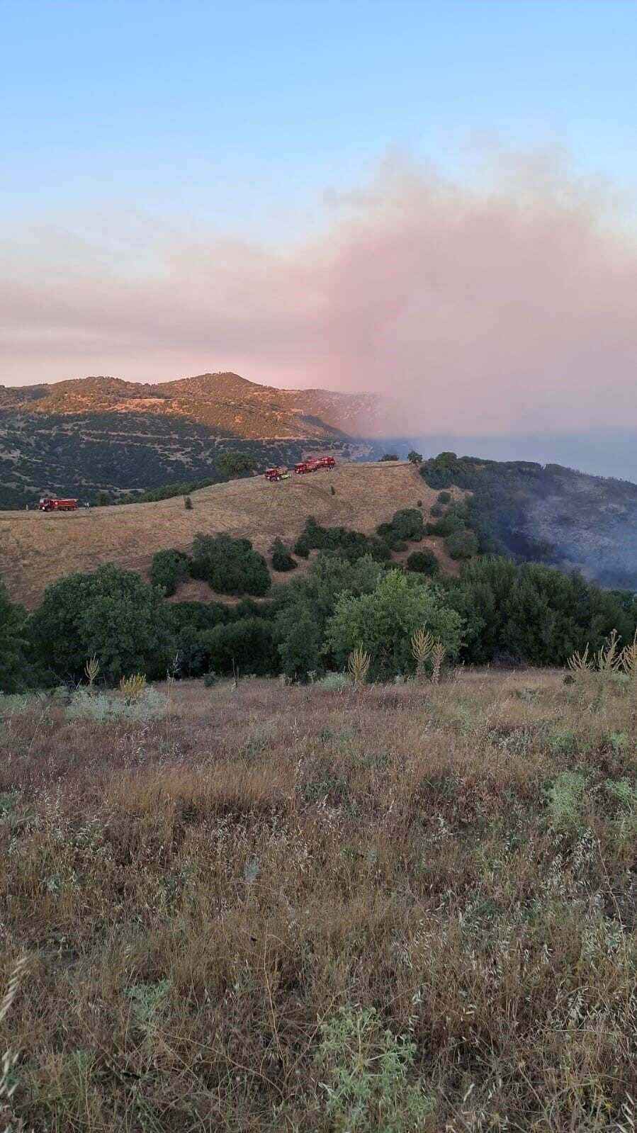Manisa’daki yangın Uşak’a doğru ilerliyor