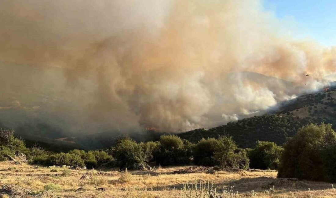 Manisa’nın Sarıgöl ilçesine bağlı Ziyanlar Mahallesi Türkmentepe mevkisinde, dere yatağında