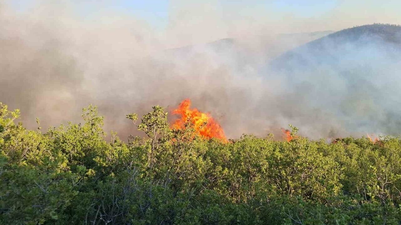 Manisa’daki yangın Uşak’a doğru ilerliyor