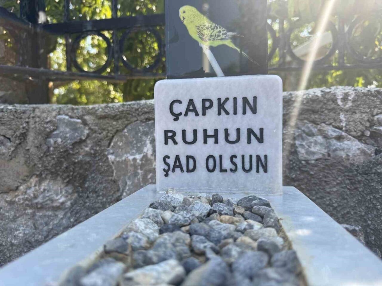 Ölen muhabbet kuşu için mermerden mezar yapıp gömdüler