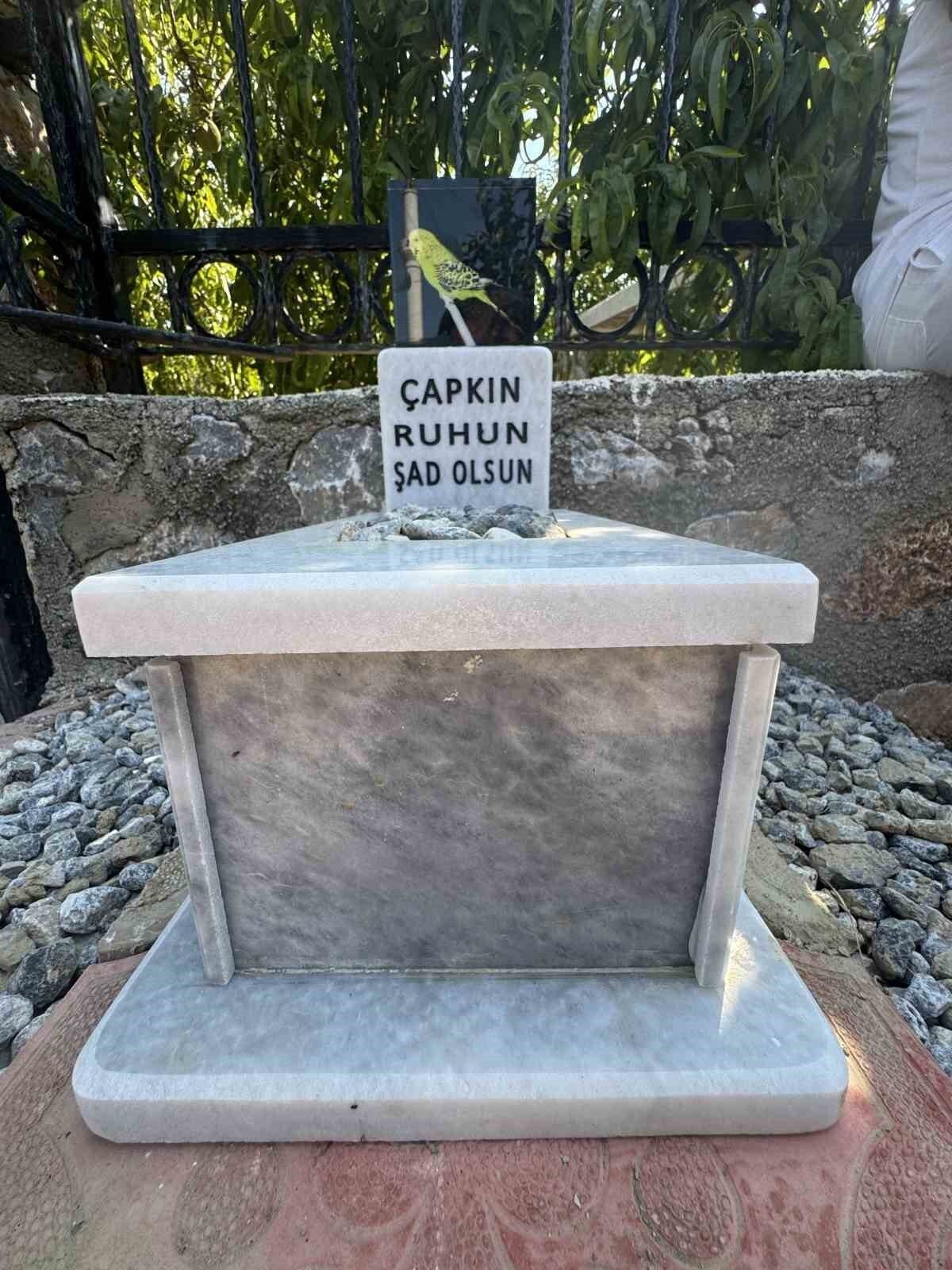 Ölen muhabbet kuşu için mermerden mezar yapıp gömdüler
