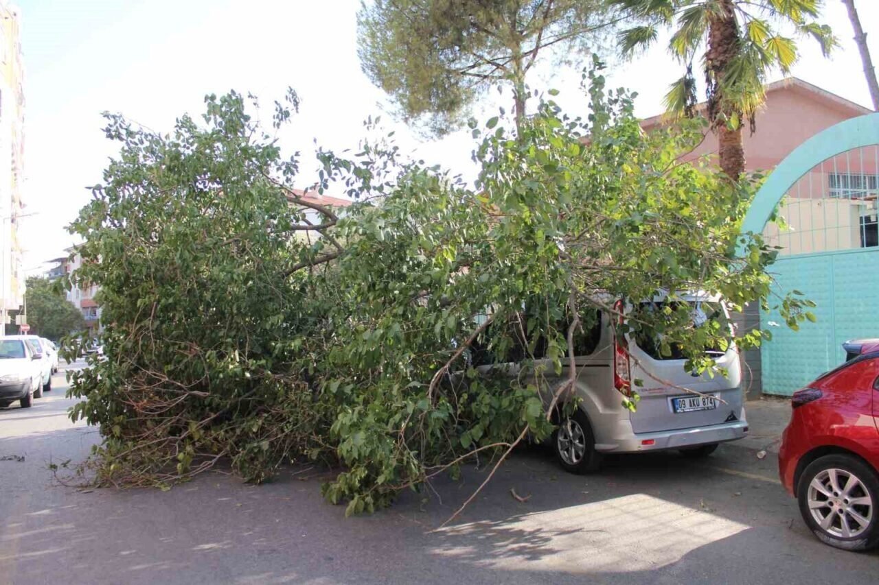 Park halindeki araca ağaç devrildi