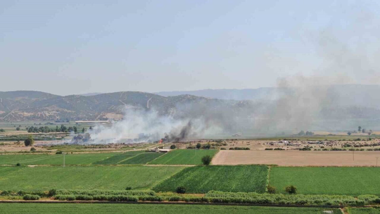 Rüzgarla büyüyen yangın, hayvan çiftliğini tehdit etti