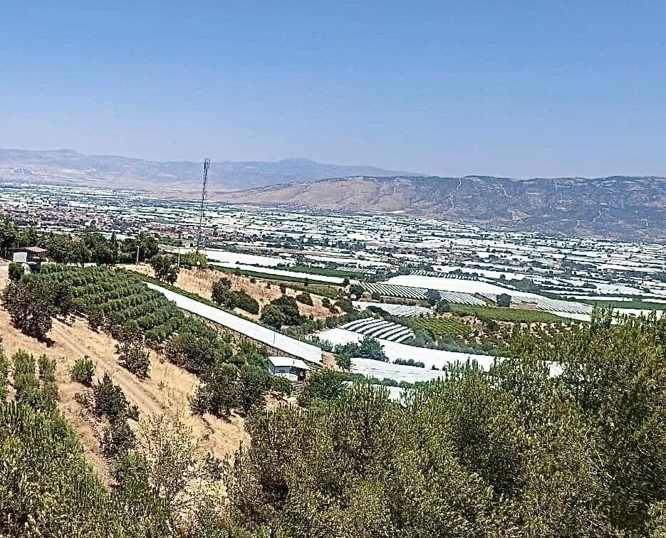Sarıgöl Ovası beyaz gelinliğini giydi