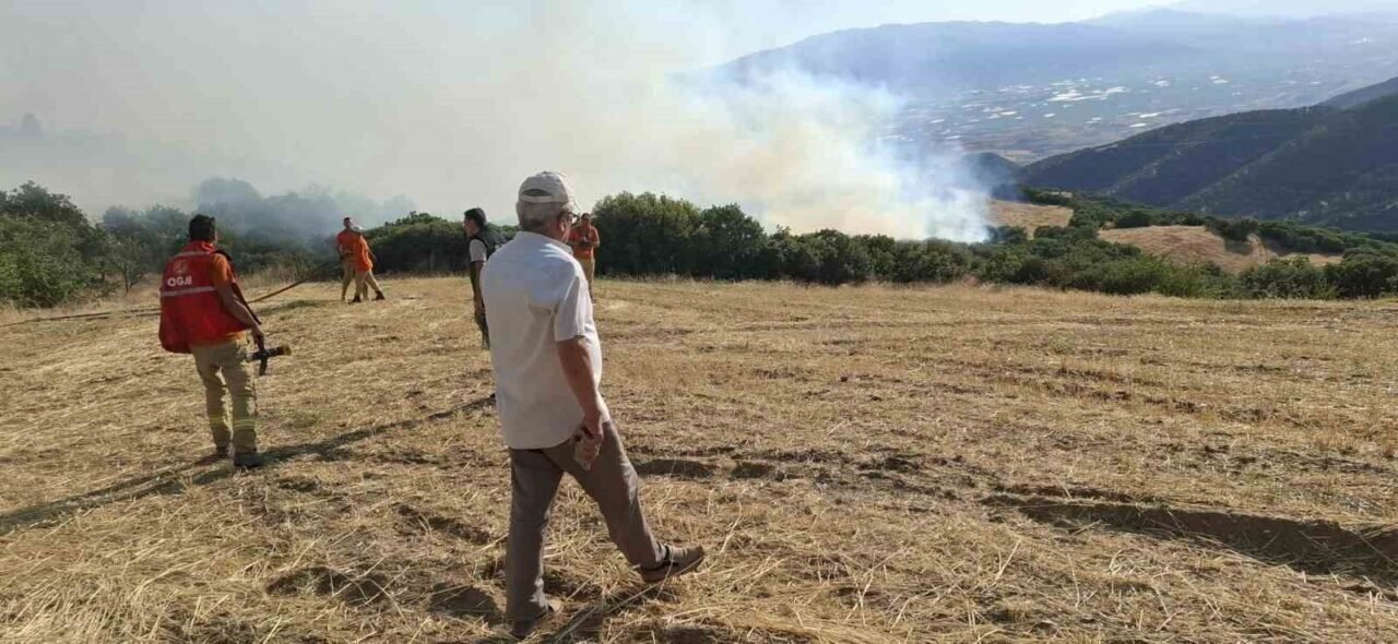 Sarıgöl’de orman yangını başladı