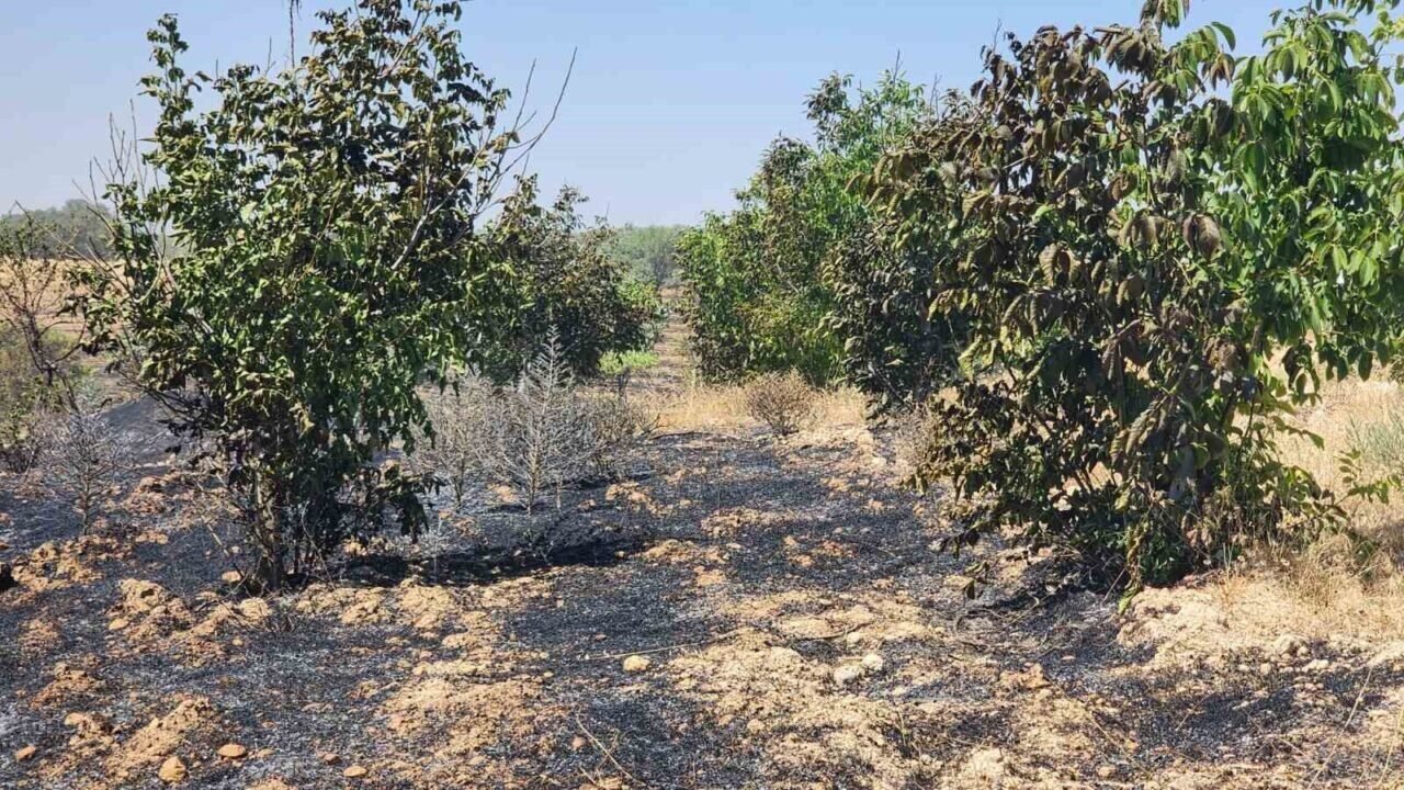 Tarım arazisinde çıkan yangın itfaiye ve çiftçilerin yoğun çabası sonucu söndürüldü