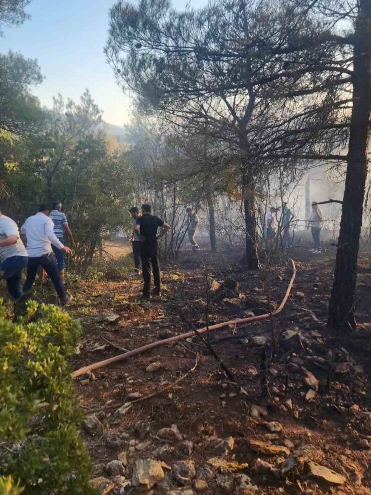 Tavas’taki orman yangını kontrol altına alındı