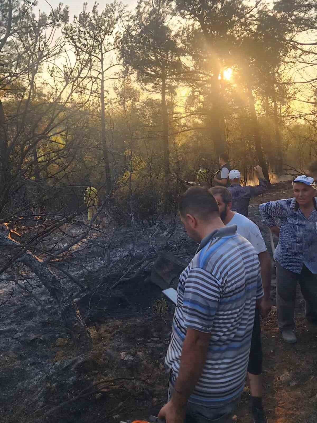Tavas’taki orman yangını kontrol altına alındı