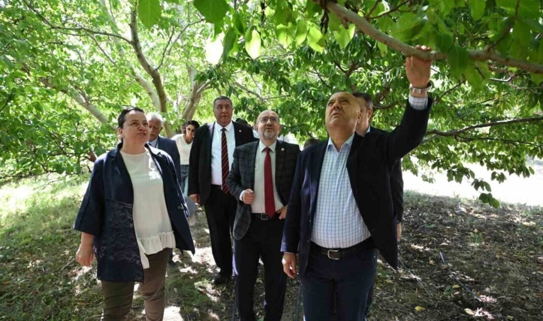 Geçtiğimiz Nisan ayında meydana gelen zirai don olayının ardından kurulan