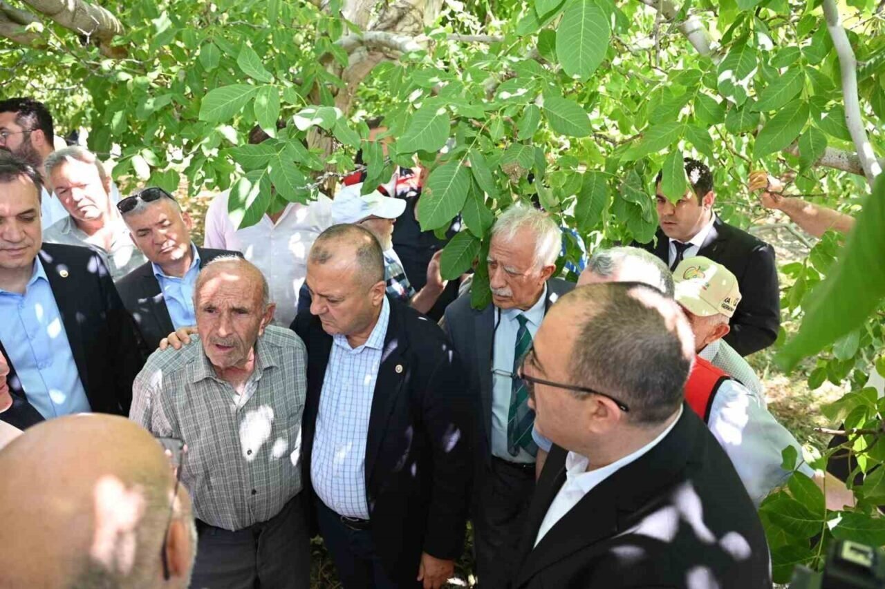 TBMM Zirai Don Araştırma Komisyonu Çivril’de meyve bahçelerini inceledi