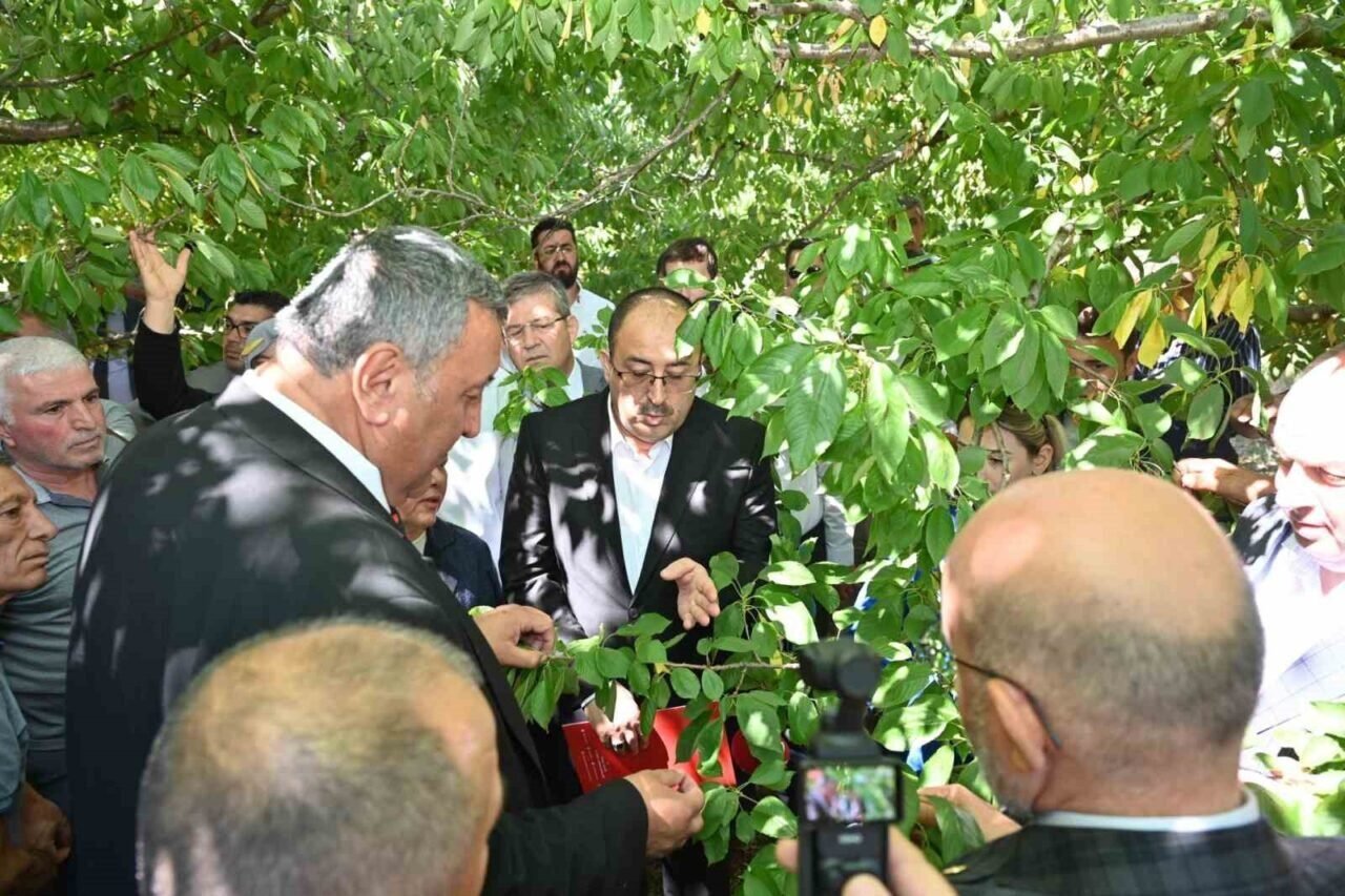 TBMM Zirai Don Araştırma Komisyonu Çivril’de meyve bahçelerini inceledi