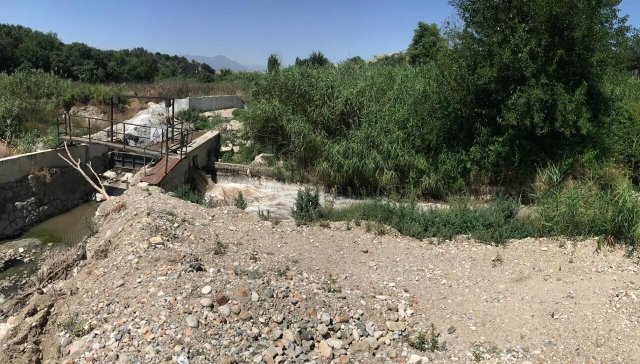Ürünü kuruyan çiftçiden Denizli Belediyesi’ne çağrı: "DESKİ zararımızı karşılasın"