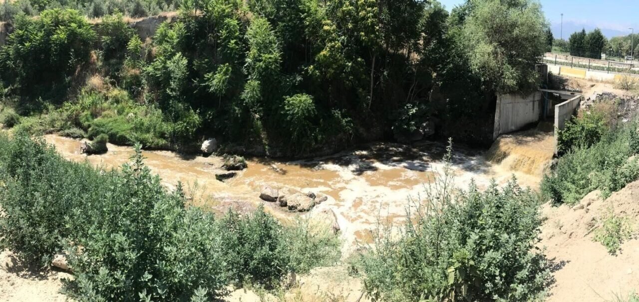 Ürünü kuruyan çiftçiden Denizli Belediyesi’ne çağrı: "DESKİ zararımızı karşılasın"