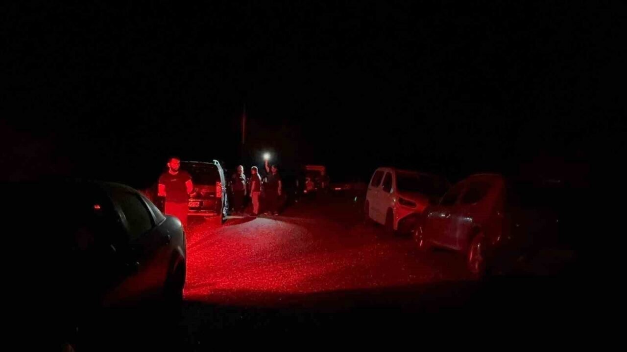 Yaban keçileri yangın sebebiyle doğal yaşam alanlarından kaçarken görüntülendi