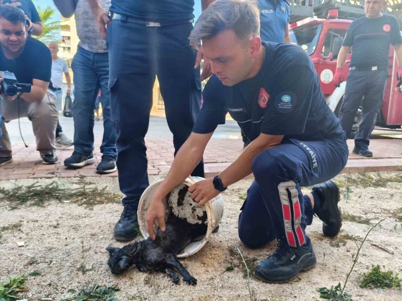 Yanan evini gören kadın baygınlık geçirdi, kedisi oksijen maskesiyle kurtarıldı