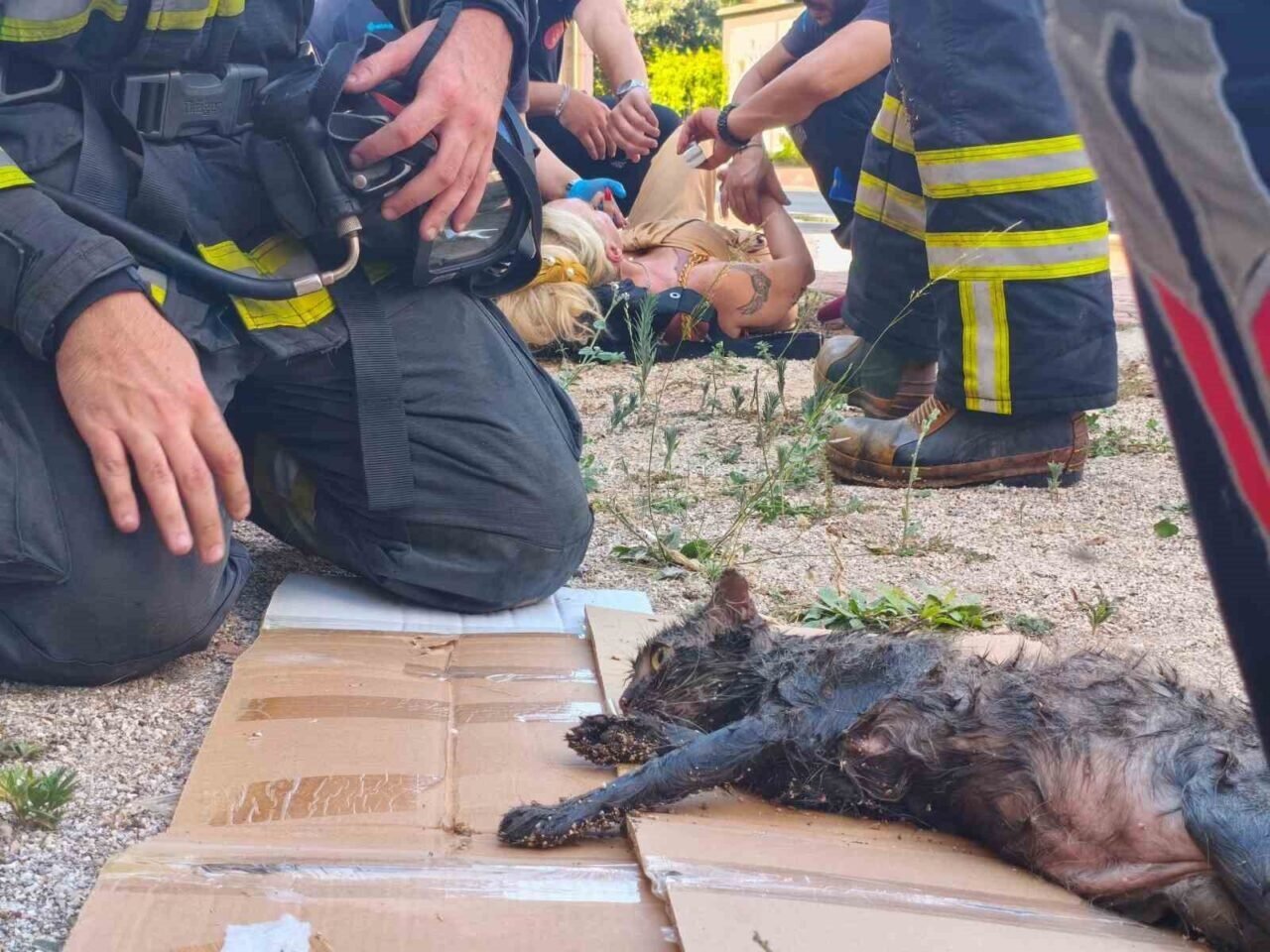 Yanan evini gören kadın baygınlık geçirdi, kedisi oksijen maskesiyle kurtarıldı
