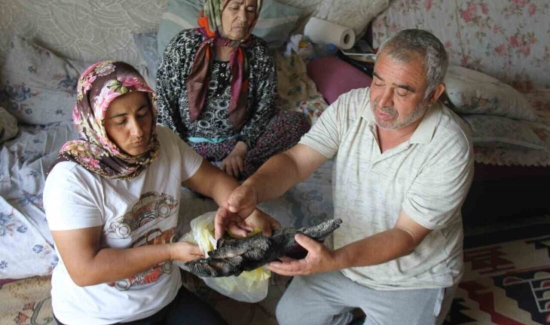 Antalya’nın Serik ilçesinde çıkan yangında yatalak annesini kurtarmak için mücadele