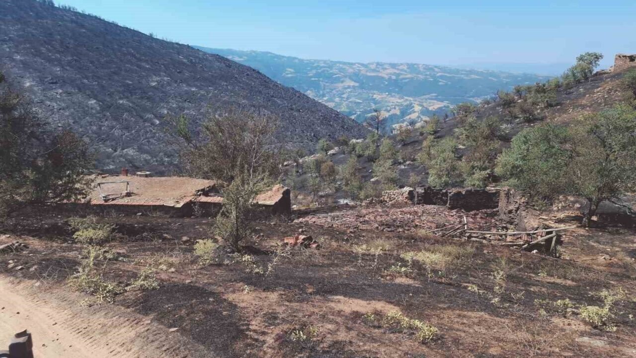 Yangından geriye küle dönen evler ve tarlalar kaldı Yangından geriye küle dönen evler ve tarlalar kaldı