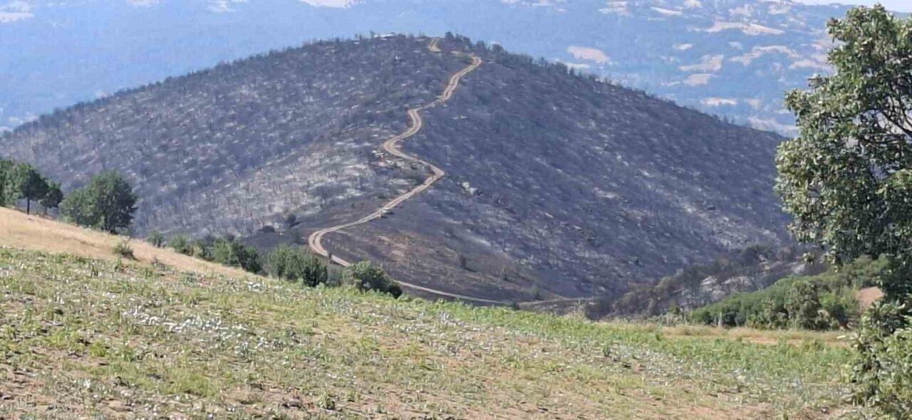 Yangından geriye küle dönen evler ve tarlalar kaldı
