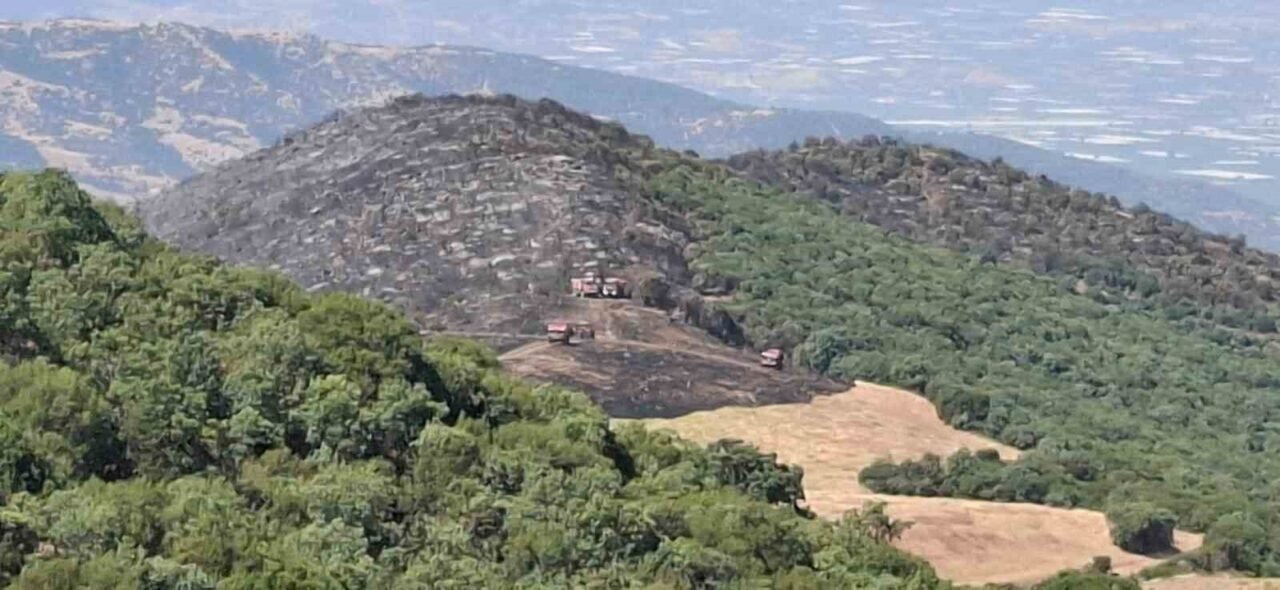 Yangından geriye küle dönen evler ve tarlalar kaldı