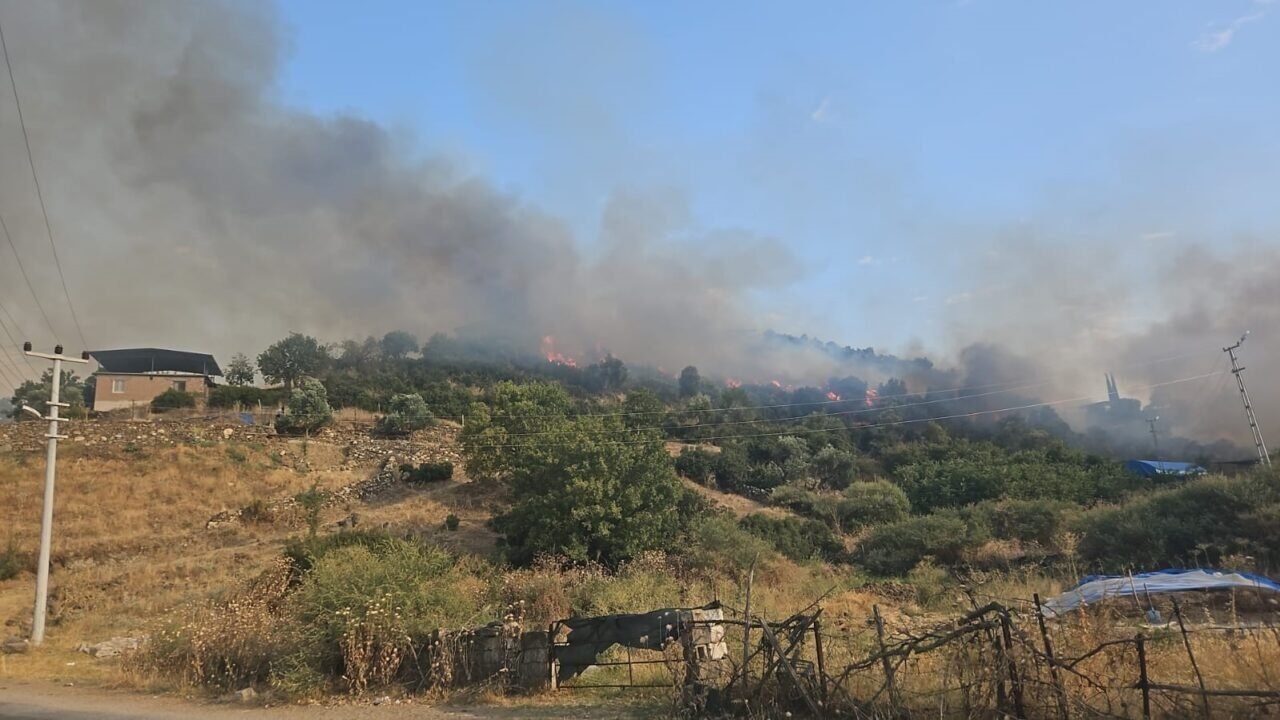 Yerleşim yerine yakın mesafede çıkan yangın büyümeden söndürüldü Yerleşim yerine yakın mesafede çıkan yangın büyümeden söndürüldü