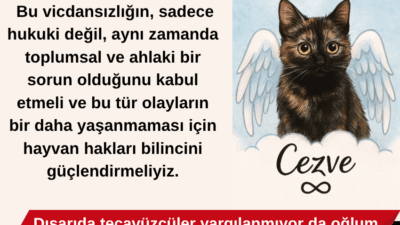 Haber sayfanız "Erkenci Horoz" için özel bir makaleyle karşınızdayım.Son günlerde