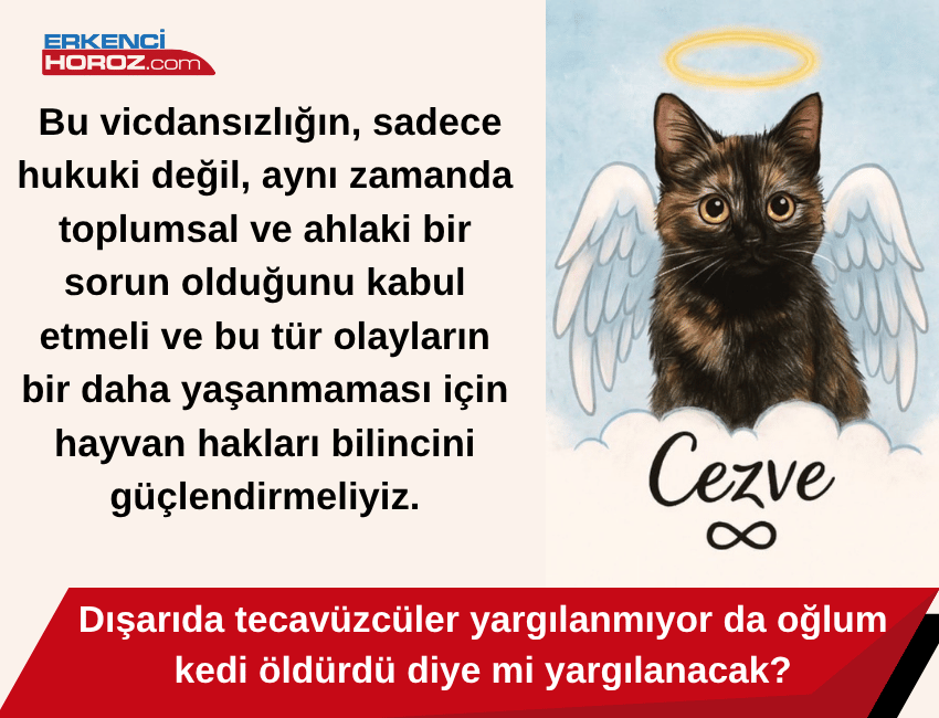 Haber sayfanız "Erkenci Horoz" için özel bir makaleyle karşınızdayım.Son günlerde