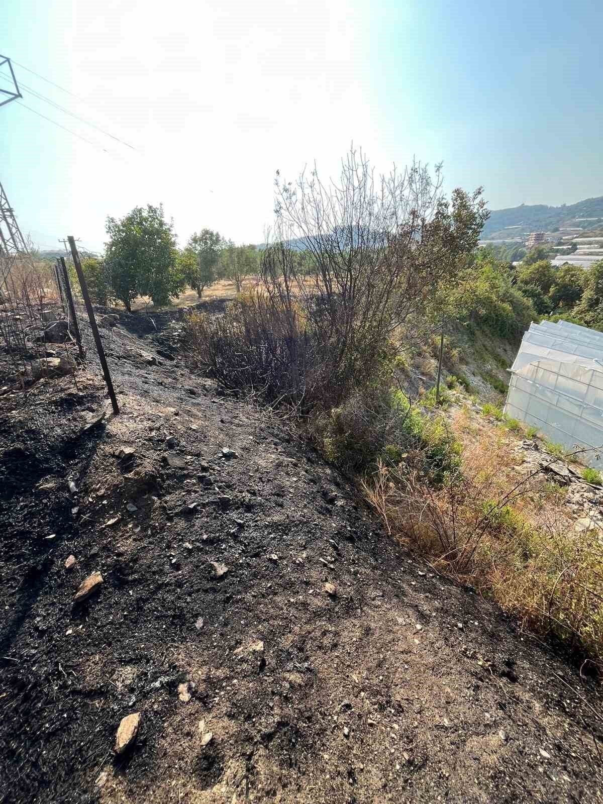 Alanya’da otluk alanda çıkan yangın büyümeden söndürüldü