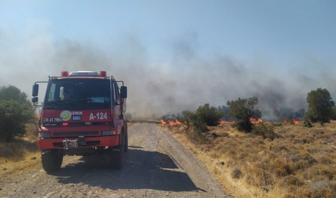 İzmir’in Aliağa ilçesinde otluk ve makilik alanda çıkan yangına havadan