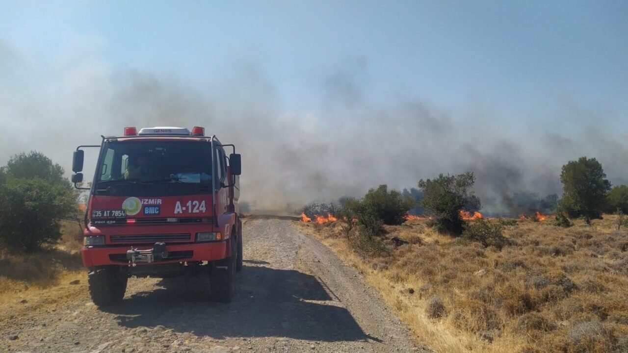Aliağa’da otluk ve makilik alanda korkutan yangın