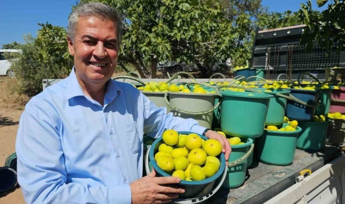 Aydın’ın Buharkent ilçesinde bu yıl 18’incisi düzenlenecek olan Kültür ve