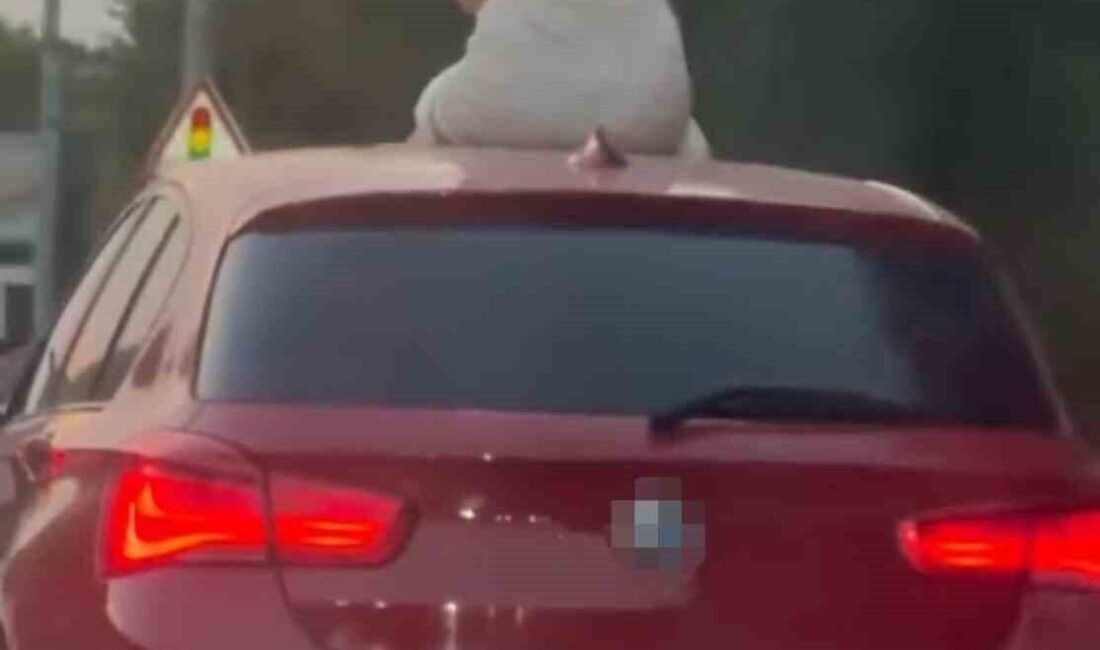 İzmir’in Çeşme ilçesinde seyir halindeki otomobilin sunroofunu açarak üzerine çıkan