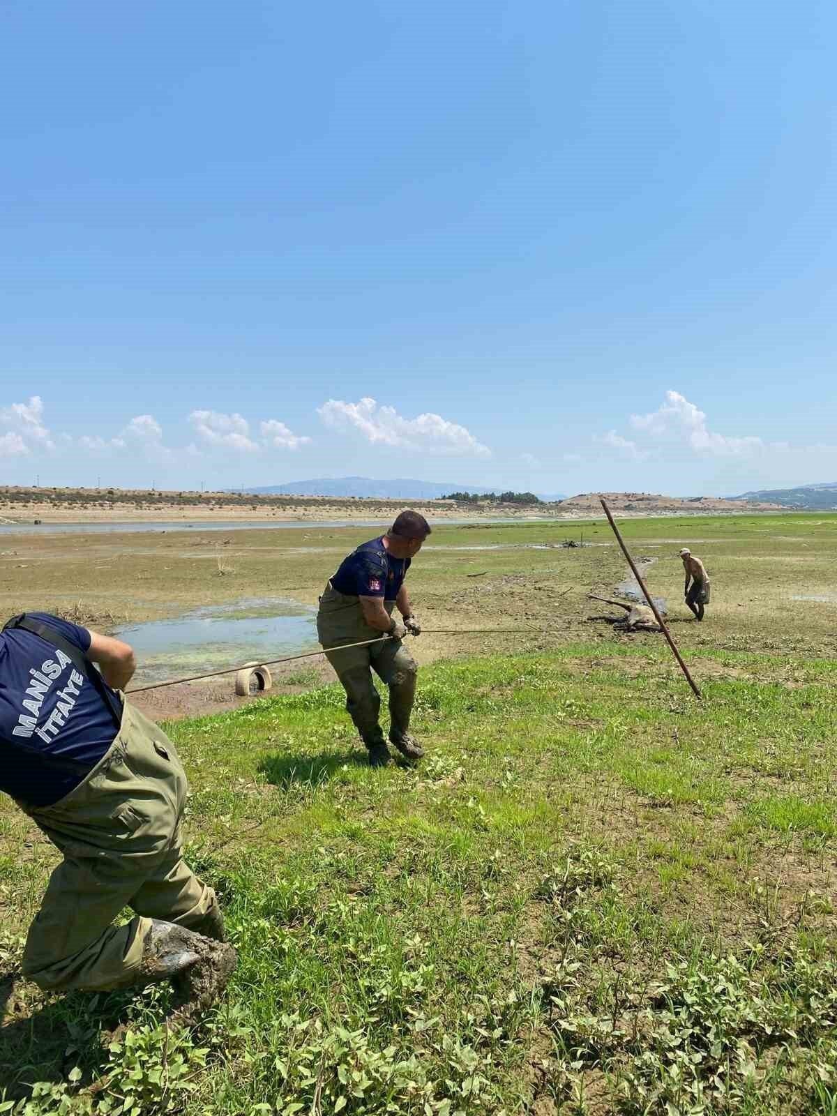 Ekiplerin canhıraş mücadelesi takdir topladı