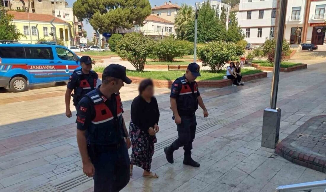 Aydın’ın Efeler ilçesinde arazi anlaşmazlığı sebebiyle incir ağaçlarının bulunduğu araziyi