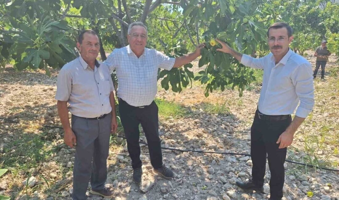 Bozdoğan Kaymakamı Yunus Emre Polat, incir üreticileri ile bir araya