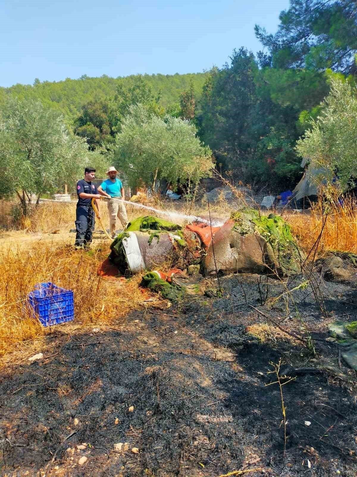 Kumluca’da çıkan yangında bir dönüm zeytinlik alan yandı