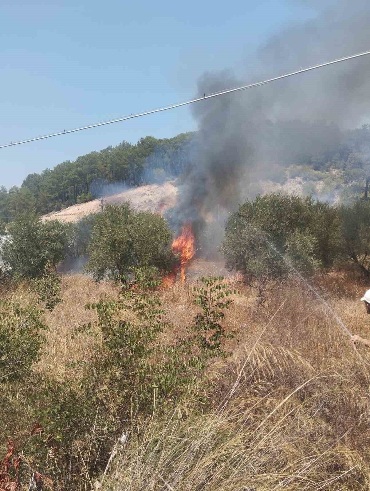 Kumluca’da çıkan yangında bir dönüm zeytinlik alan yandı