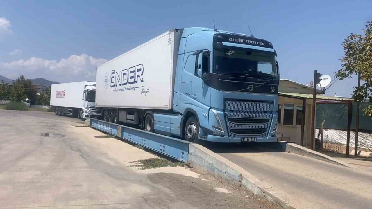 Manisa’nın dünyaca ünlü çekirdeksiz sofralık Sultaniye üzümünde hasat başladı